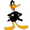 j p